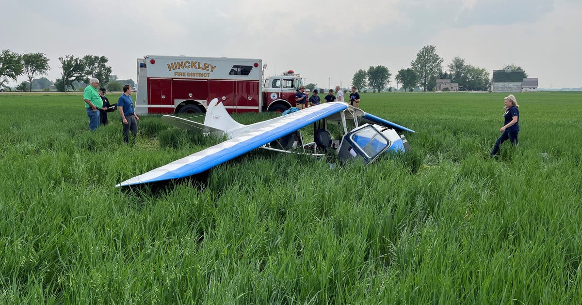 Pilot killed, child injured in small plane crash in DeKalb County | FOX ...
