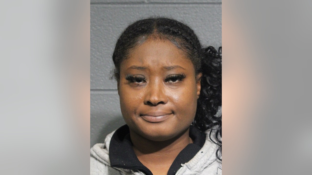 Woman Charged After Driving Into Chicago Protest Crowd