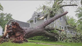 Chicago weather: Cold front sparks storms leaving damage in far suburbs