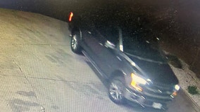 Police in Cook County search for driver who hit teen and drove off