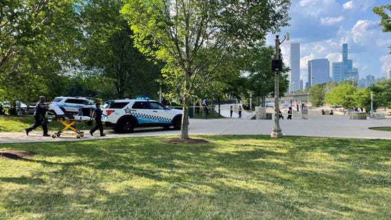 Chicago crime: 3 victims stabbed at skate park during argument, CPD says