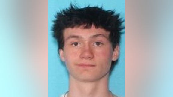 Evergreen Park police seek help locating endangered missing teen