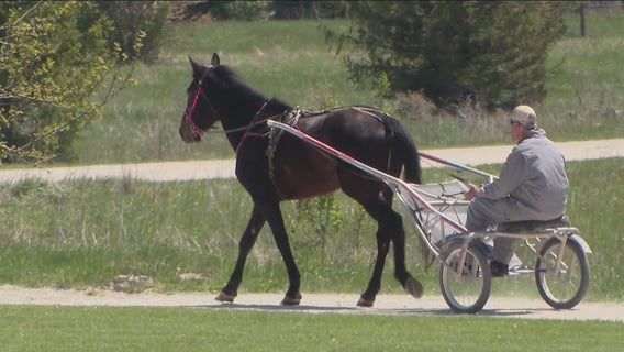68-acre horse farm in Will County converted into recovery site for men