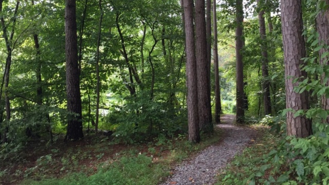 Illinois campground named one of the Midwest's best by The Dyrt