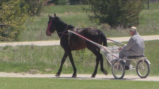 68-acre horse farm in Will County converted into recovery site for men