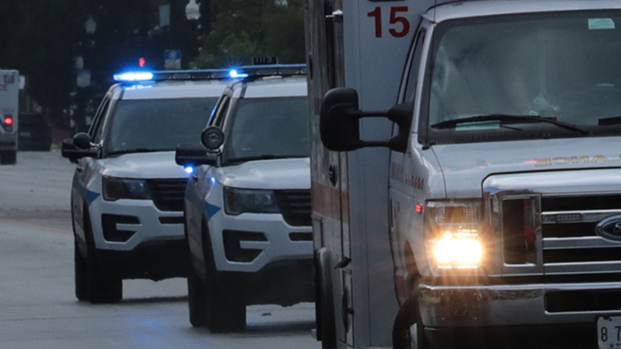 Man shot while walking in Chicago, police say