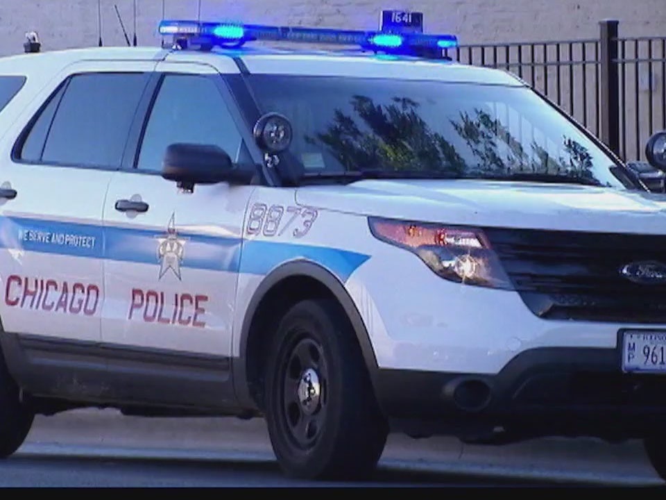 Man charged as juvenile in series of downtown Chicago robberies