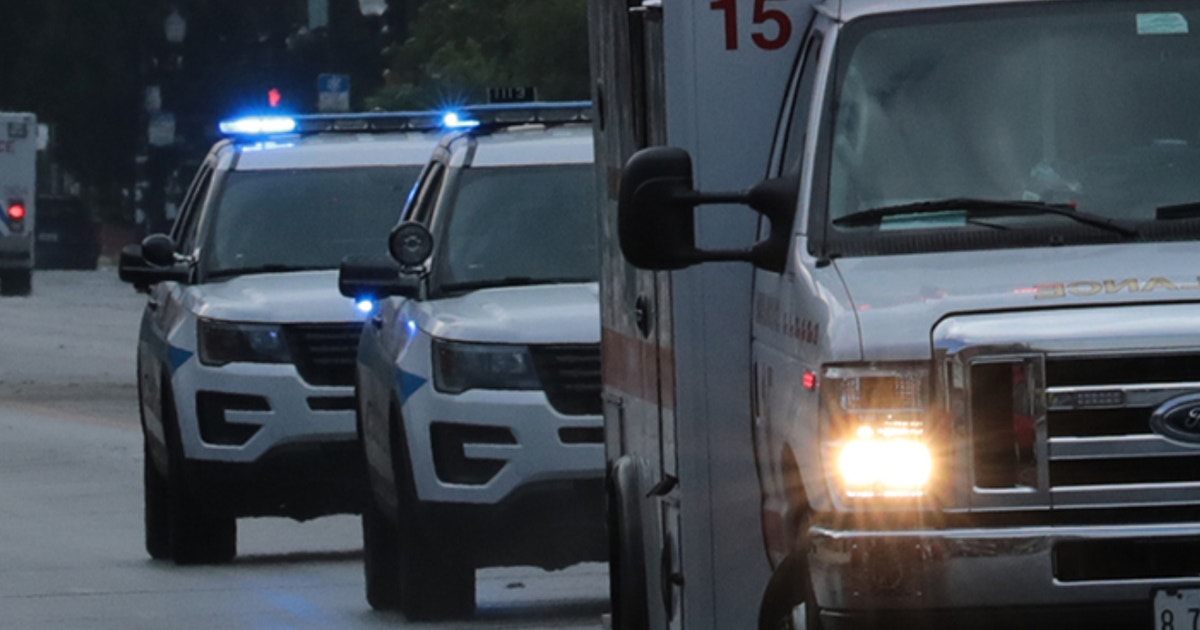 Woman critically hurt in stabbing during Chicago fight, man in custody