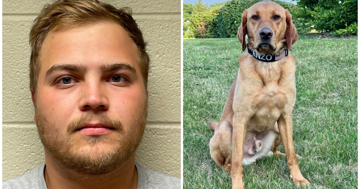 Lake County K9 Enzo helps bust man for allegedly having child porn ...