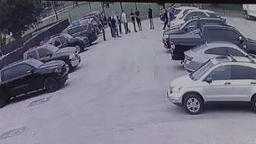 Federal agents' appearance at Chicago Puerto Rican museum angers local officials