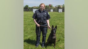 Chicago police K9 receives lifesaving vest from national nonprofit