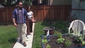 Local Marine veteran finds healing from PTSD through backyard gardening