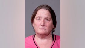 Joliet woman charged after elderly dog dies from heat stroke, police say