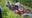 Elderly man trapped under tractor for hours, firefighters say