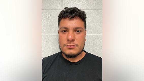 Illinois K-9s help catch man with child porn, sheriff says