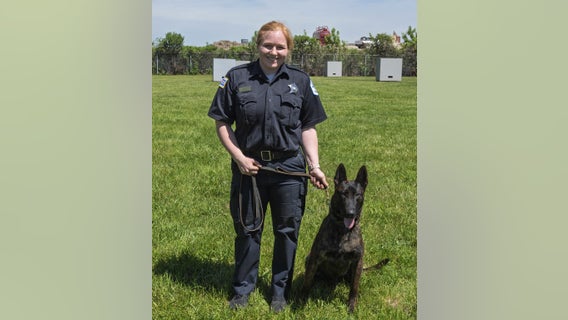 Chicago police K9 receives lifesaving vest from national nonprofit