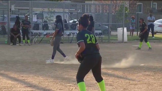 Campaign underway to build home facility for Chicago's Teflon softball team