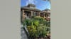 PHOTOS: Chicago's 10 best bungalow gardens, chosen by locals