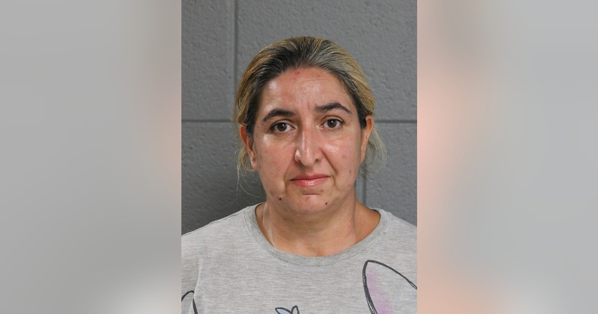 Woman charged with animal cruelty after 26 dogs found in Chicago home ...