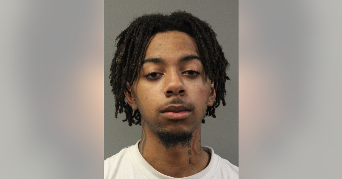 Chicago teen arrested after carjacking 2 men on NW Side, police say ...