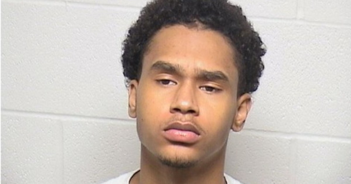 North Chicago man arrested after fleeing police and throwing AR-15 from ...