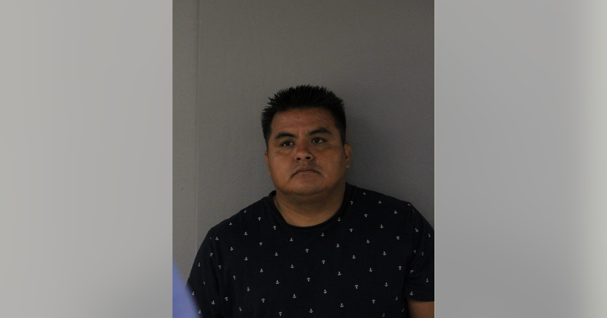 Cook County man charged after dog injured while tied to moving truck: sheriff