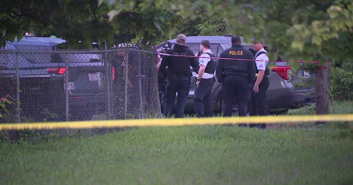 Chicago police fire shots after burglary suspects hit officers with ...