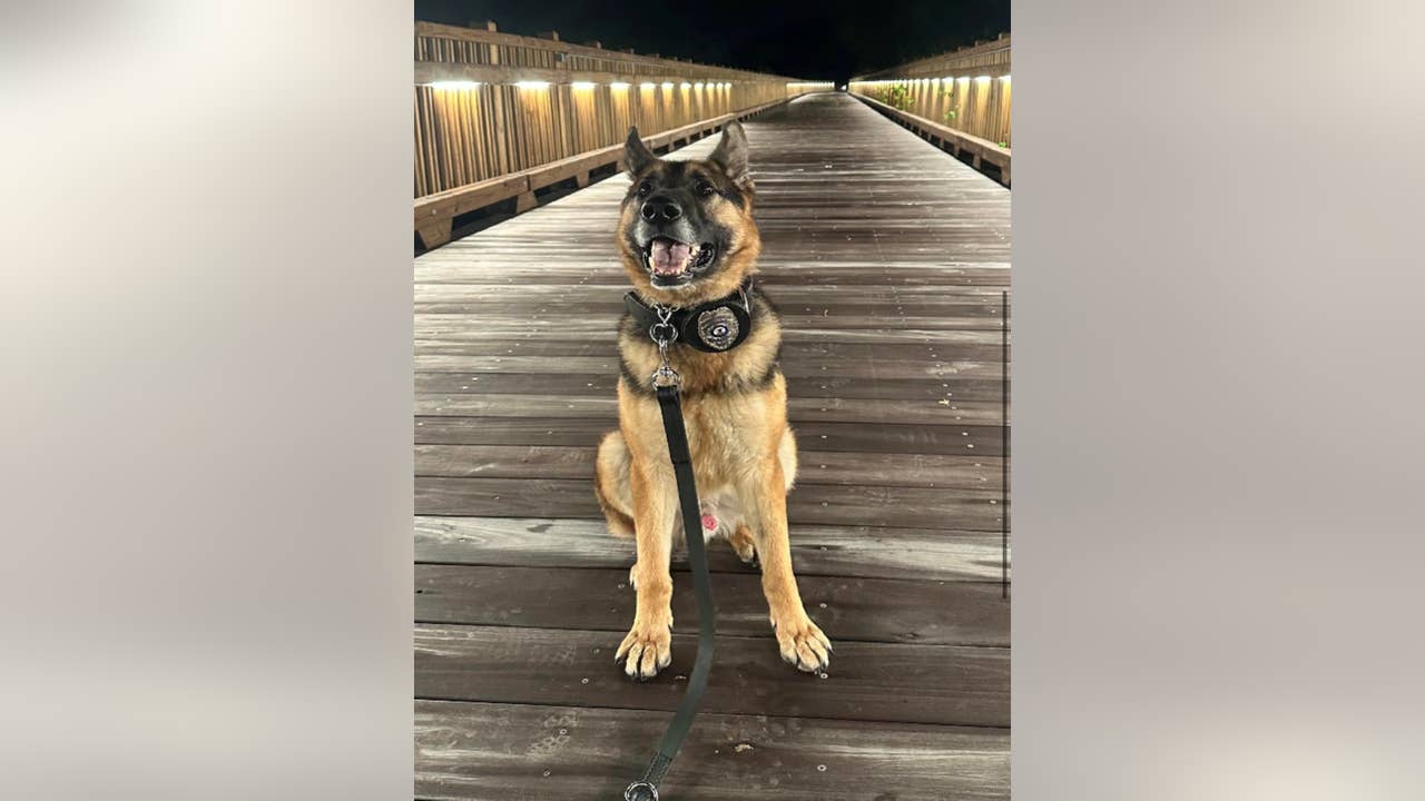 Missing Police K-9s in Illinois and Texas Searched