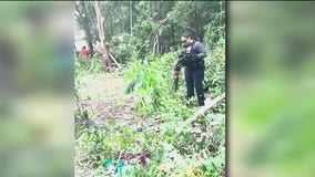 Roseland homeowner’s dream dampened by neighbor’s overgrown lot