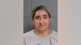 Woman charged with animal cruelty after 26 dogs found  in Chicago home, police say