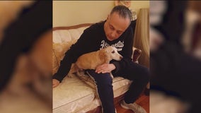 PETA joins search for blind Chicago man’s stolen emotional support dog