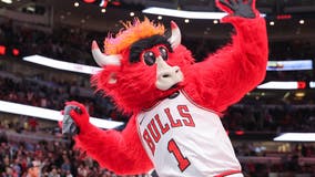 Bulls Fest 2025: Family fun, art, 3-on-3 tournaments and more!