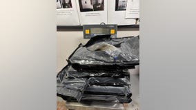 Feds seize 72 pounds of marijuana hashish at Chicago’s O’Hare Airport
