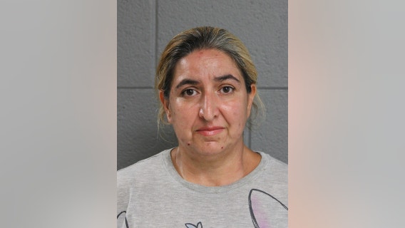 Woman charged with animal cruelty after 26 dogs found  in Chicago home, police say