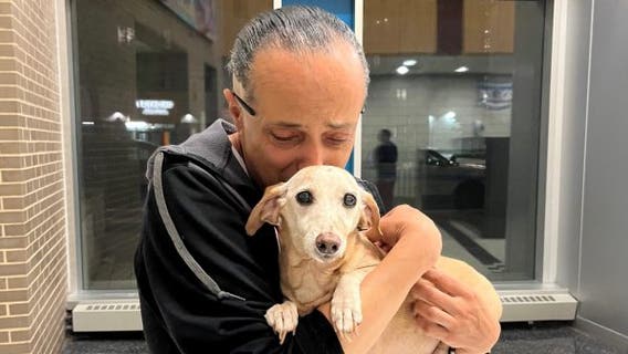 Bam Bam the support dog reunited with owner 2+ months after being stolen from Chicago backyard