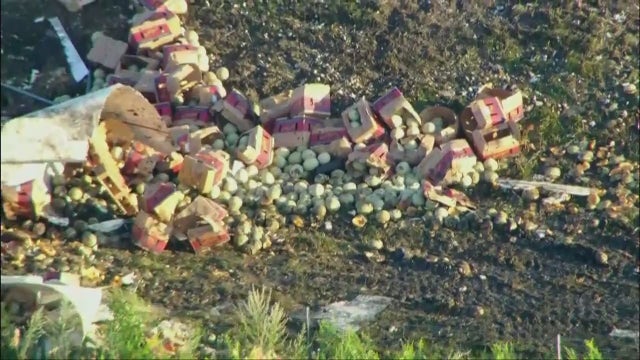 Illinois I-80 semi crash spills 42,000 pounds of produce, police say