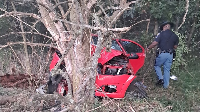 Car crashes into tree off I-65 in NW Indiana