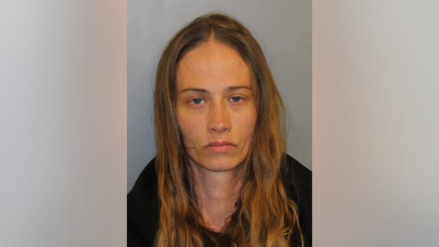 Chicago woman led suburban police on high-speed chase in stolen car, prosecutors say