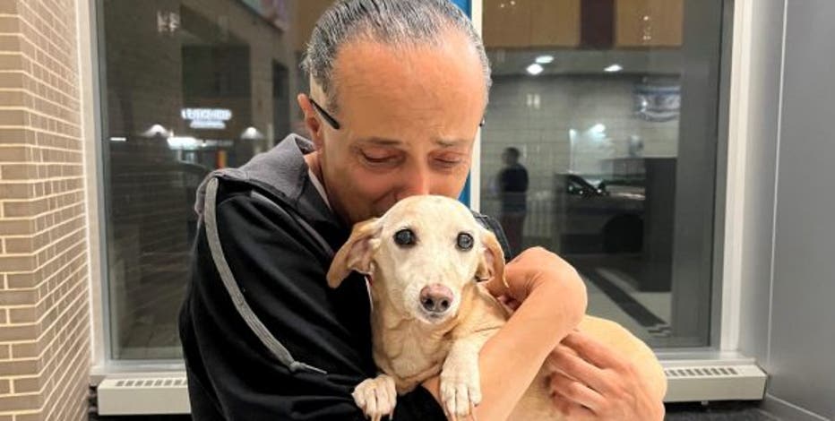 Bam Bam the support dog reunited with owner 2+ months after being stolen from Chicago backyard