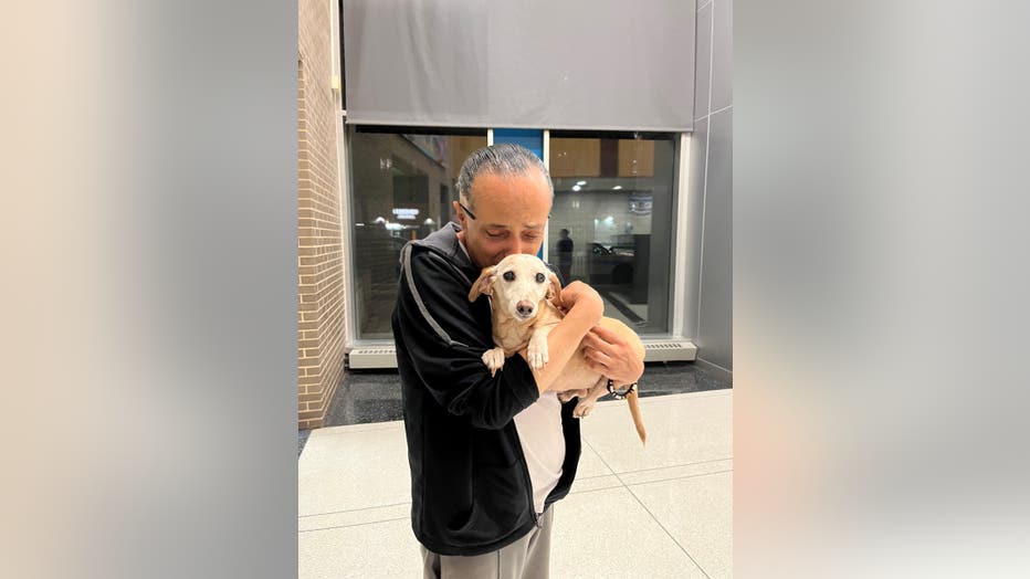 Bam Bam the support dog reunited with owner 2+ months after being stolen from Chicago backyard