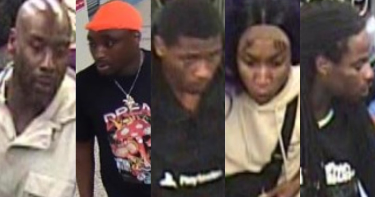 Chicago police seek 5 suspects in CTA Red Line beating, robbery | FOX ...