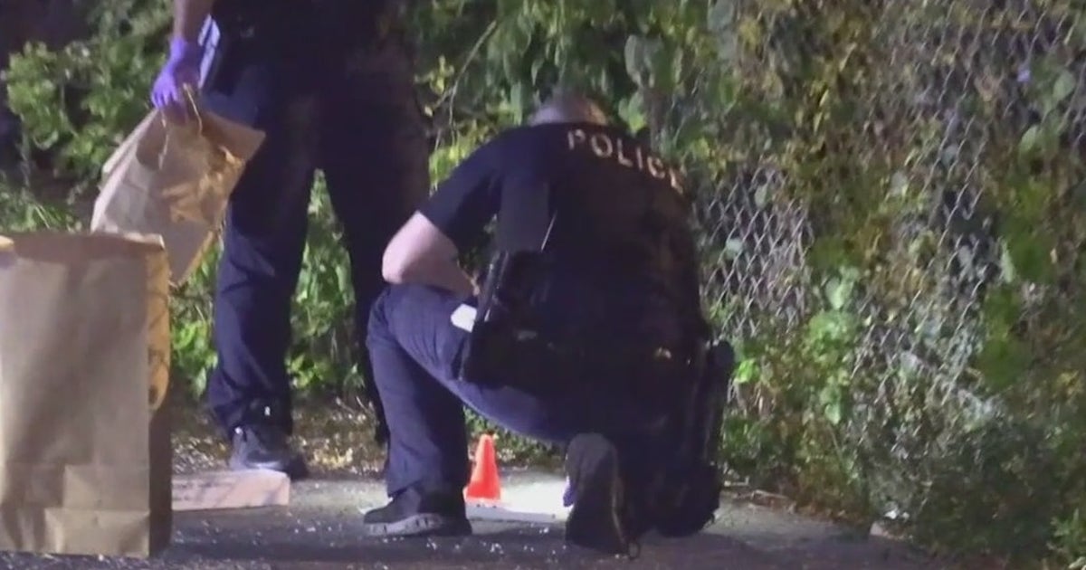 Off-duty suburban Chicago police officer shoots armed robbery suspect ...
