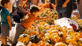 Chicagoland guide to fall things to do: Pumpkin patches, festivals, Halloween events