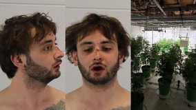 Aurora house fire response uncovers large weed grow operation, police say