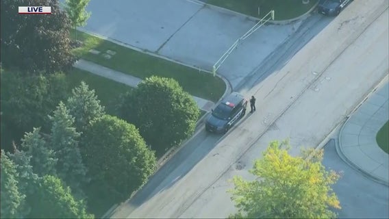 3 in custody after chase, crash in Chicago's south suburbs