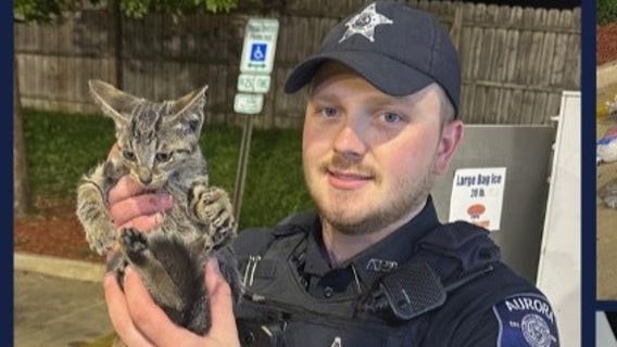 Kitten rescued stuck in Aurora ice machine, police say