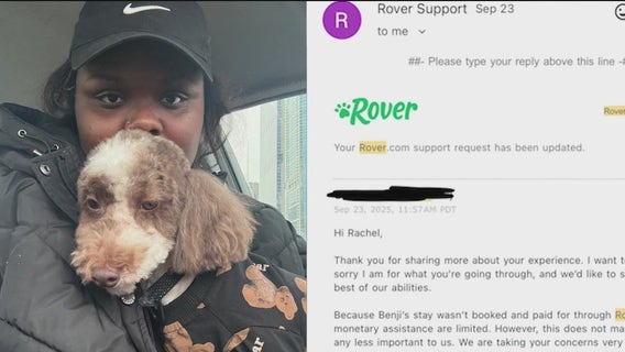 Chicago woman blames Rover sitter for missing dog — company disputes any ties