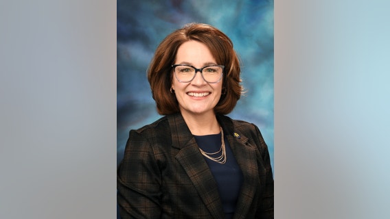 Shot fired at Illinois state senator's home, suspect in custody