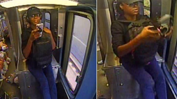 Chicago police seek woman in Irving Park attack