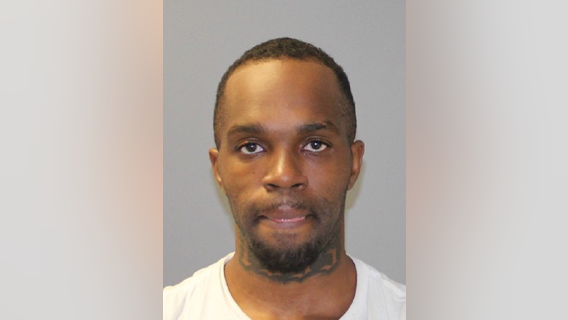 Villa Park man charged after allegedly brandishing gun at Elmhurst homeowner: authorities